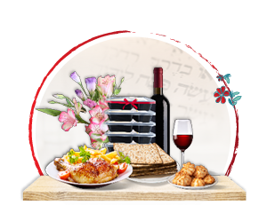 8 ארוחות לכל החג + מארז תמיכה לניצול שואה / קשיש