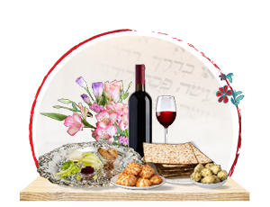 ארוחת ליל הסדר חגיגית לניצול שואה / קשיש