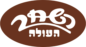 השחר העולה