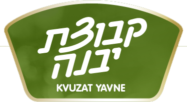קבוצת יבנה